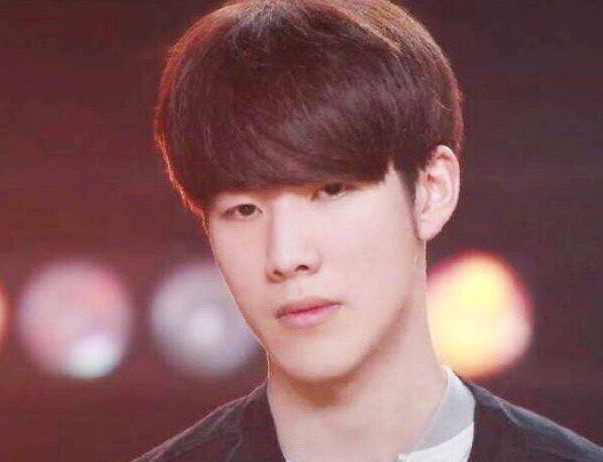 膝内侧副韧 膝内侧副韧